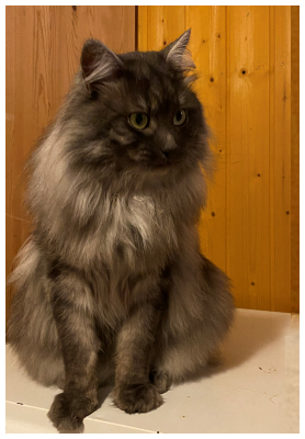 Pollux